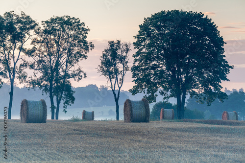 Fototapeta Naklejka Na Ścianę i Meble -  View of the Masurian fields.