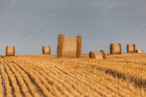 Fototapeta Naklejka Na Ścianę i Meble -  View of the Masurian fields.