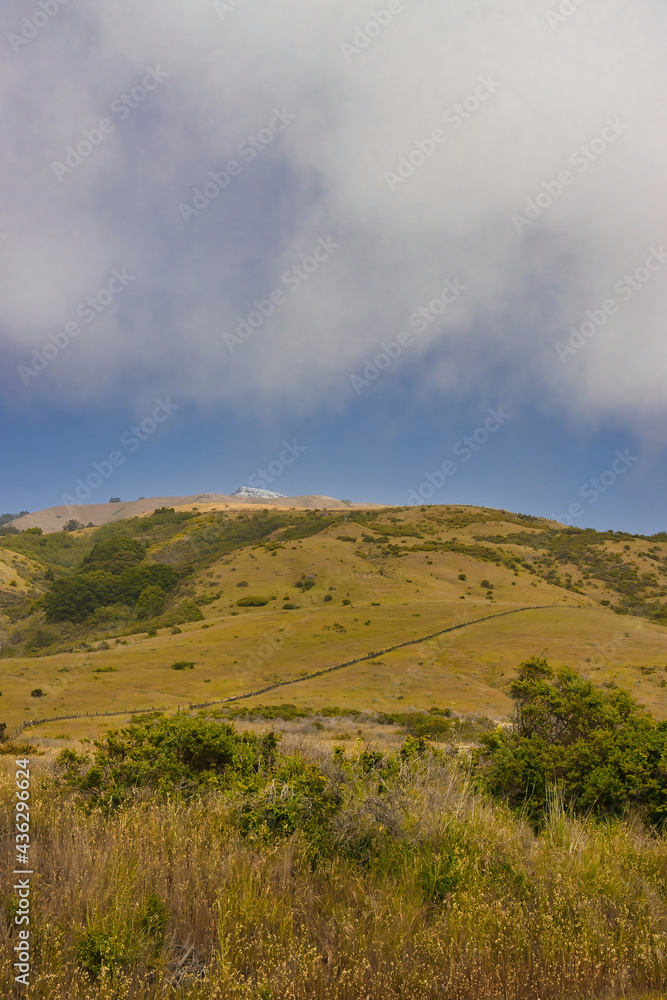 Andrew Molera state park, Big Sur, hiking, California, landscape, mountain, nature, sky, autumn, forest, mountains, fall, green, blue, tree, view, hill, trees, cloud, valley, clouds, yellow, hills