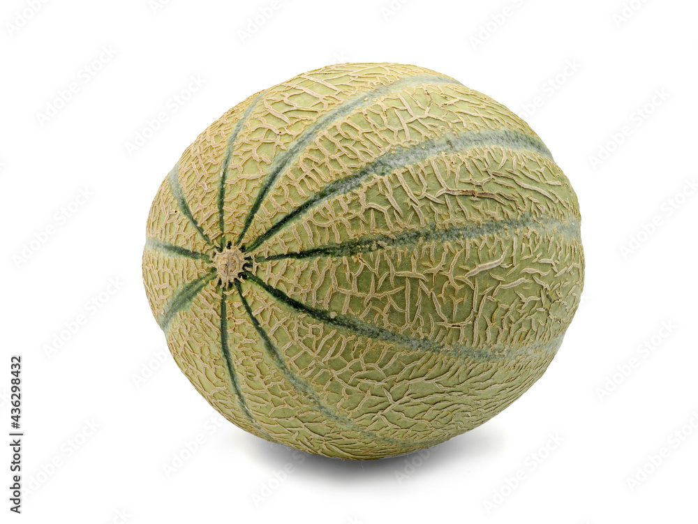 cantaloupe melon isolated on a white background cantaloupe melon isolated on a white background