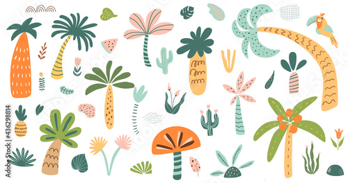 Cute palm tree isolated set. Stylized palm tree collection. Childish safari tree Forest elements. Jungle tropical trees.