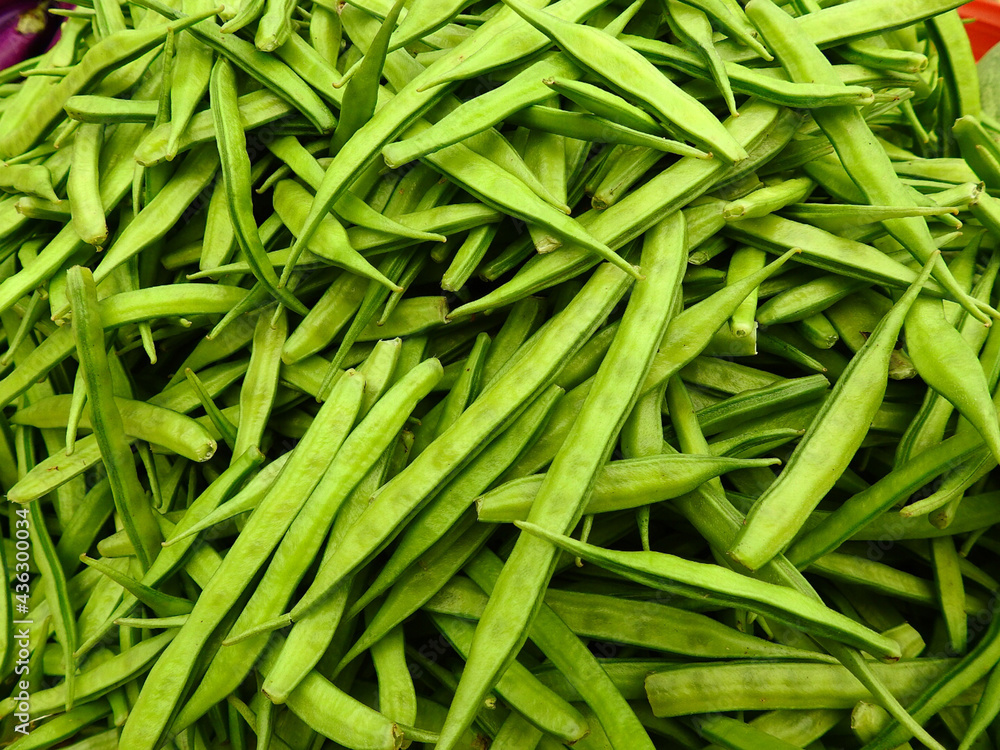 Fresh green Organic vegetable Cluster Beans Fresh green Organic vegetable Cluster Beans