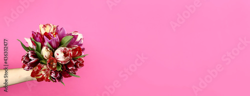 Hand with a bouquet of tulips on a pink background. Horizontal banner. Copy space for text