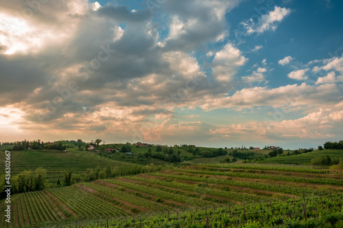 Spring stormy sunset in the vineyards of Collio Friulano  Friuli-Venezia Giulia  Italy