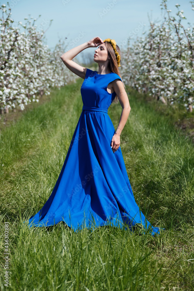 Girl in a blue dress in an apple orchard