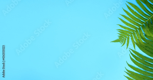 tropical summer banner green leaves. Horizontal banner