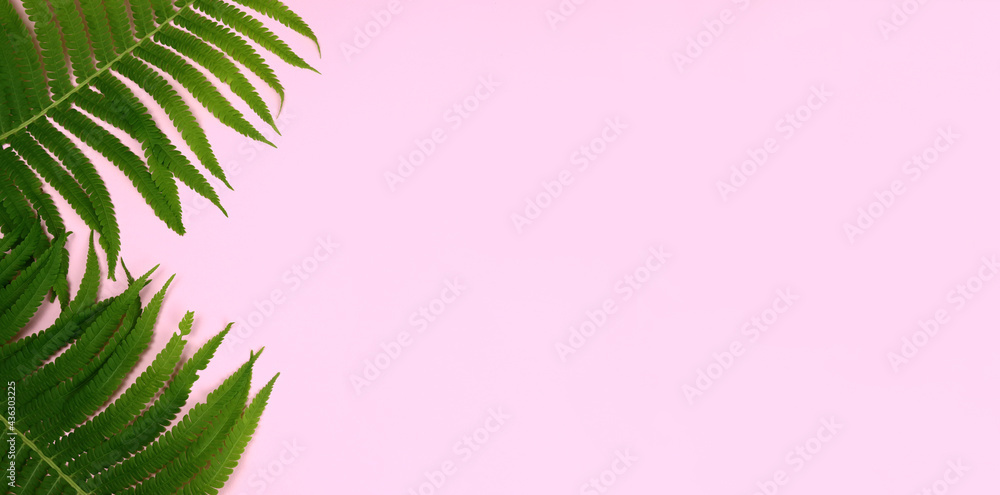 tropical summer banner green leaves on pink background. Horizontal banner. Copy space for text