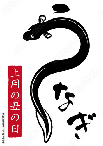 うなぎ　筆文字　土用の丑の日