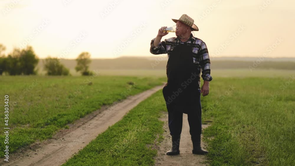 Senior worker in apron holding drinking beer at field. Handsome male brewer drinking beer from glass at sunset time. Senior worker in apron holding drinking beer at field. Handsome male brewer drinking beer from glass at sunset time.