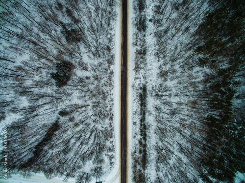 snow covered trees and road
