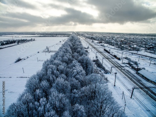 landscape with snow covered trees