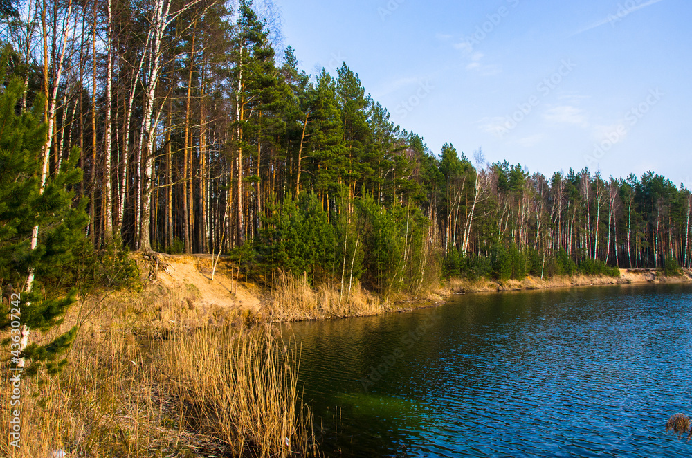 Obraz premium a picturesque forest lake in central Russia in early spring