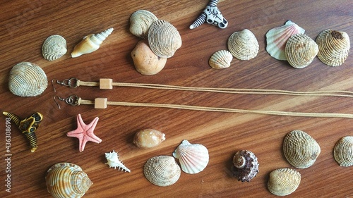 Handmade earrings with shells an sea star decoration. Fashion jewelry photo.