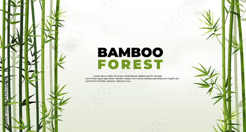 Bamboo forest banner. East Asian tropical plants background. Tree border elements and leaves. Straight trunks and foliage. Vector Japanese or Chinese poster with lettering and copy space