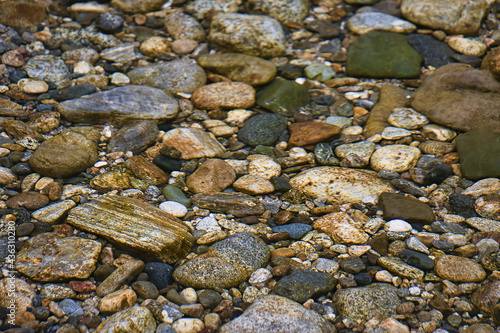 Hiking in Andrew Molera state park in the spring