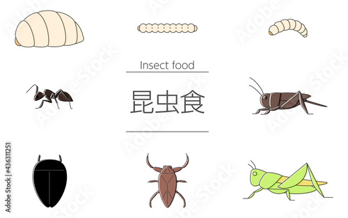 昆虫食で食べられる虫、コオロギ、バッタ、蟻、蜂の子ほか