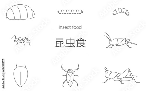 昆虫食で食べられる虫、コオロギ、バッタ、蟻、蜂の子ほか