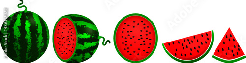 Fresh and juicy watermelon. aside. vector