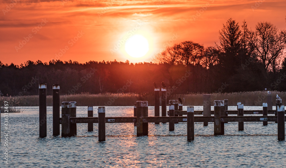Fototapeta premium sonnenaufgang