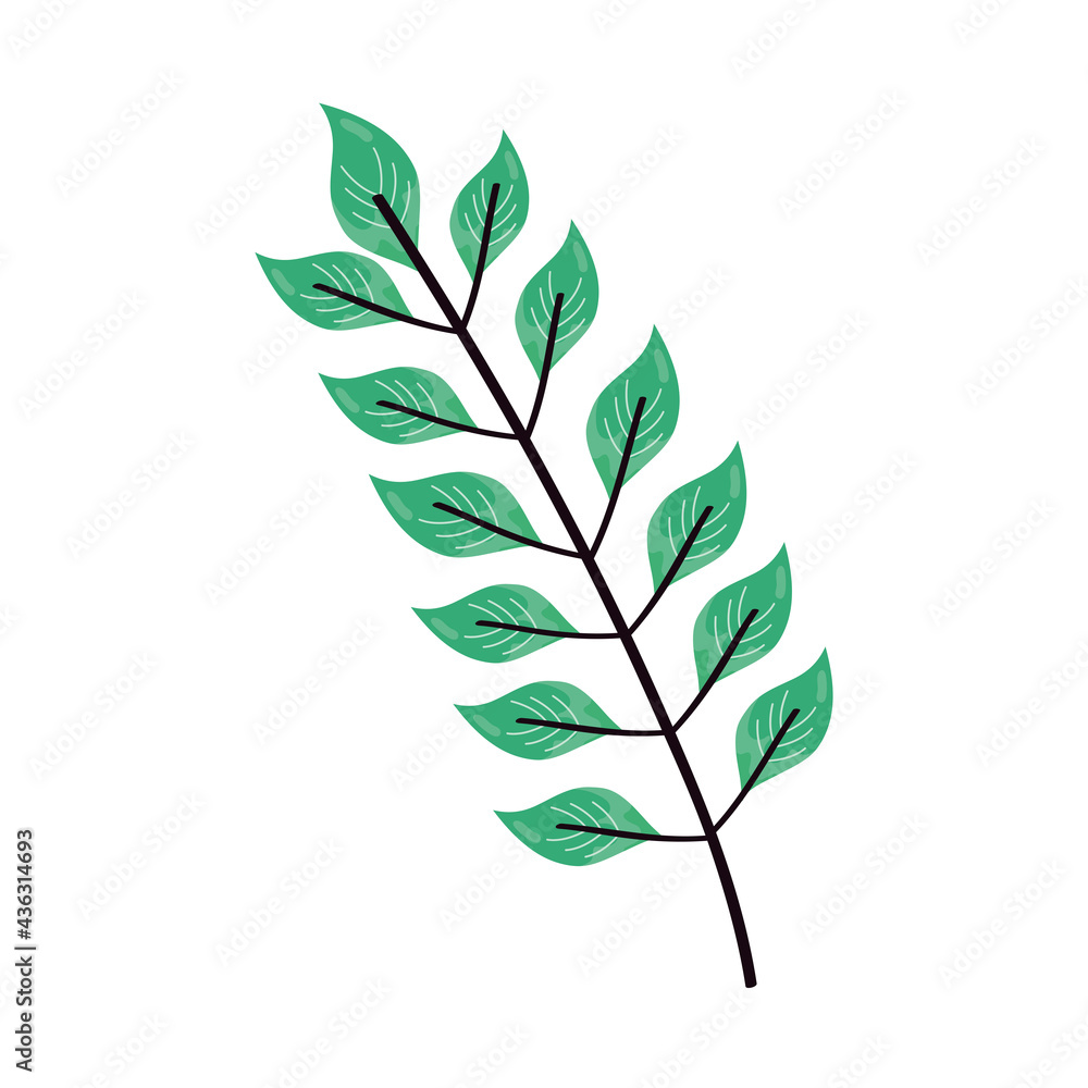 Fototapeta premium branch with leaves