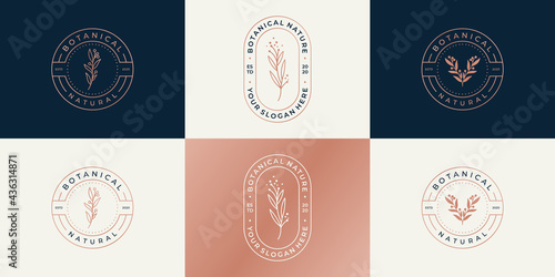 Set of luxury logo design template for branding, corporate identity