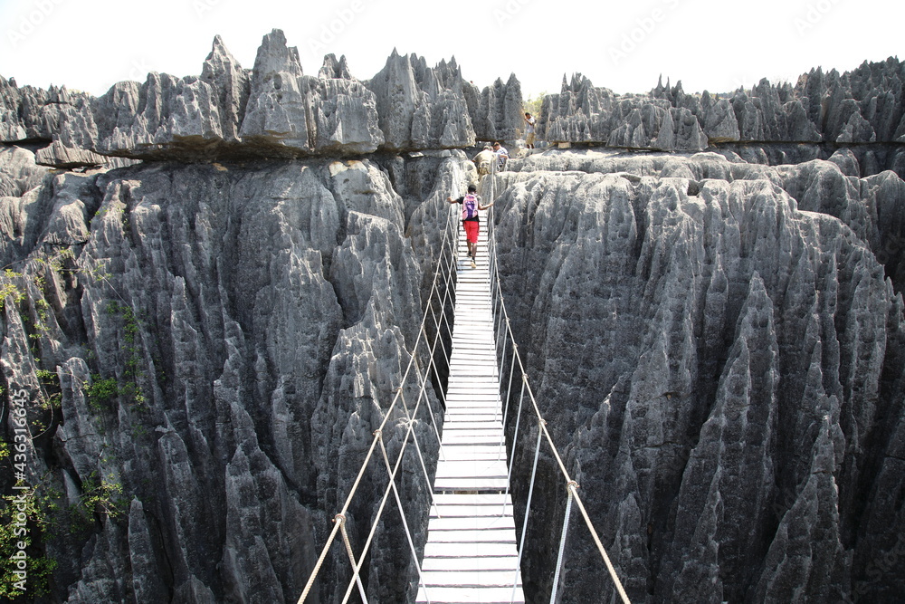 Suspension bridge at Tsingy de Bemaraha National Park, Madagascar - obrazy, fototapety, plakaty 