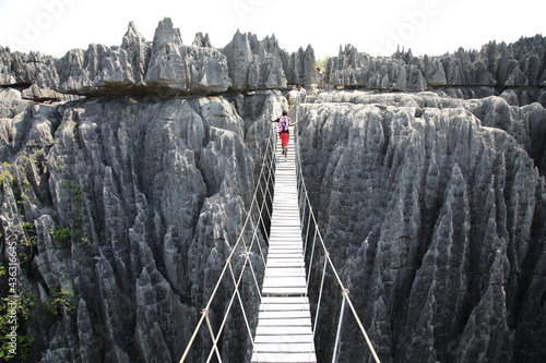 Suspension bridge at Tsingy de Bemaraha National Park, Madagascar