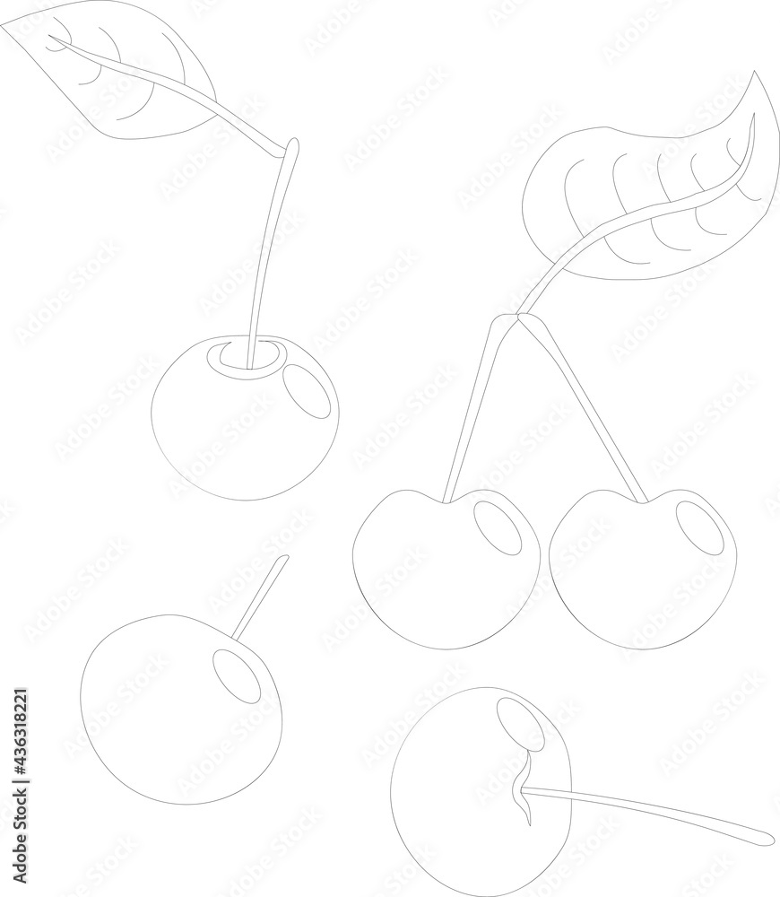 illustration of a cherry illustration of a cherry