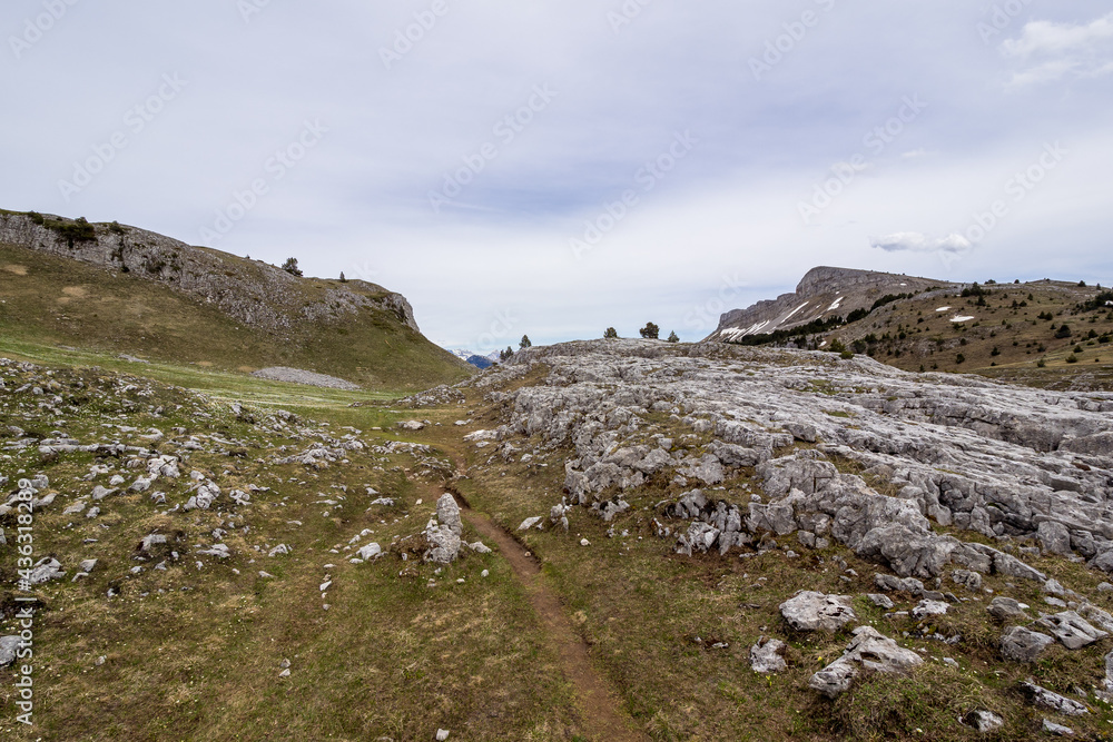 Vercors landscape, Combeau valley, ibex, Mont Aiguille, flowers and shepherd's hut
