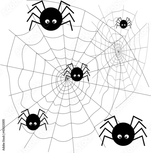 spider on web