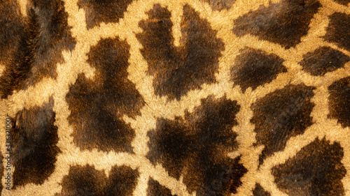 Canvas Print giraffe skin pattern close up