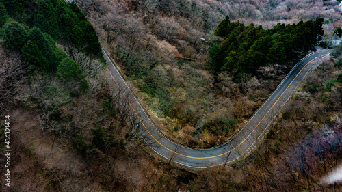 Mountain road, Hakone, Japan