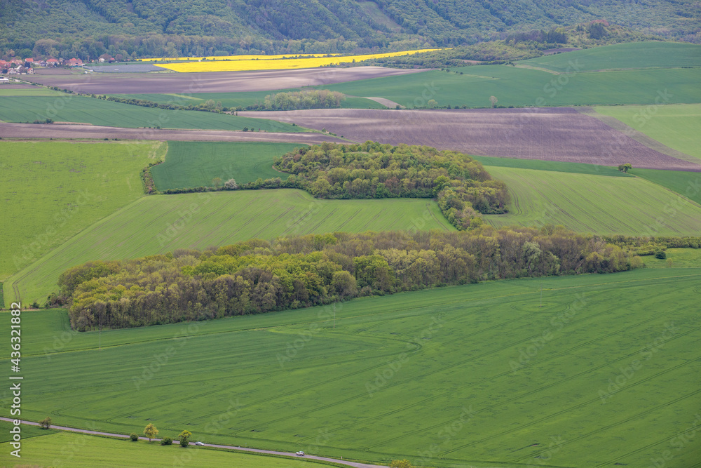 rural landscape with fields and hills - Hazmburk, Czech Republic