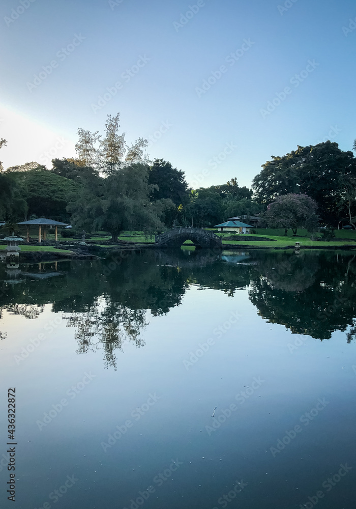 Fototapeta premium peaceful pond in a park