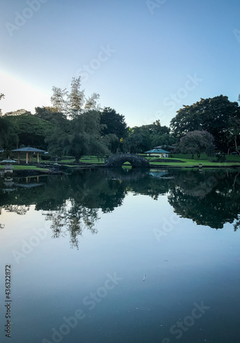 peaceful pond in a park