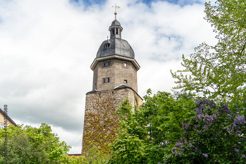 Der Neutorturm in Arnstadt mit Fliederbusch