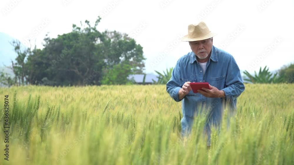 senior men with smartphone and wheat field on background. Agriculture industry technology concept senior men with smartphone and wheat field on background. Agriculture industry technology concept