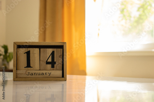 Wooden blocks of the calendar represents the date 14 and the month of January on the background of a window, curtain and a plant.