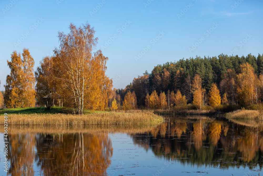 The pond in the autumn forest.