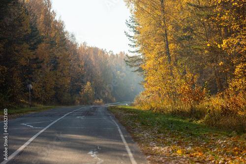 The road in the autumn forest.
