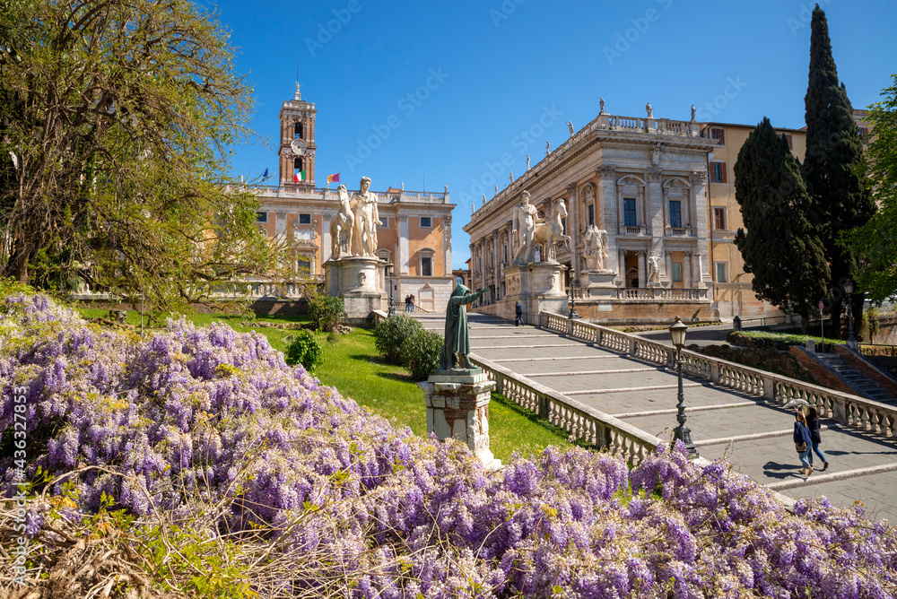 Rome, Piazza del Campidoglio view of the wisteria in bloom beside the steps leading to Piazza del Michelangelo, the Capitoline Museums and the city of Rome. Statues of the Dioscuri, Cola di Rienzo.