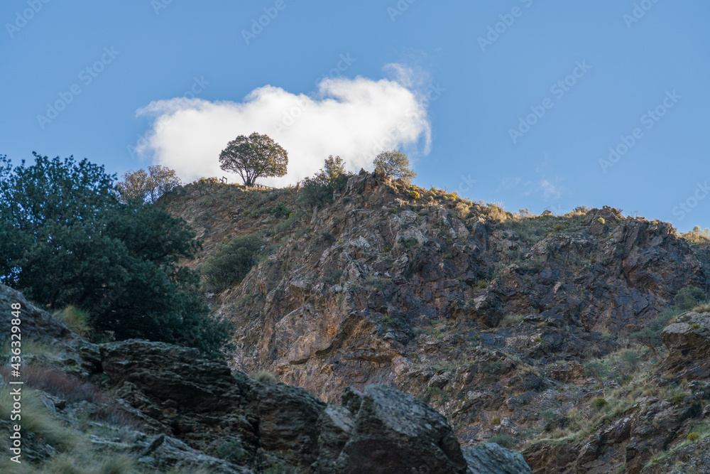 Fototapeta premium mountainous landscape in Sierra Nevada