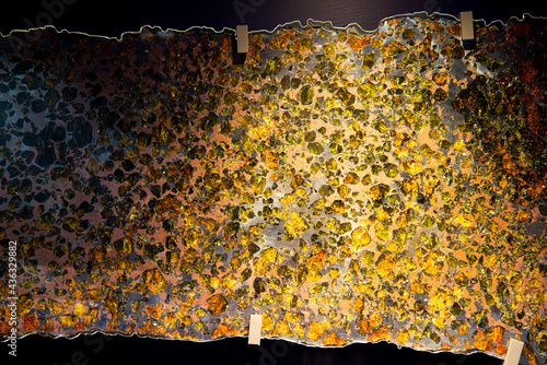 Polished Section of a Pallasite Meteorite photo