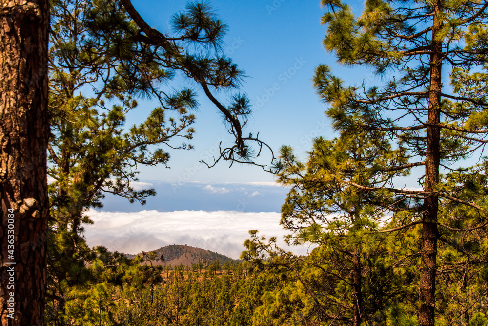 Mar de nubes en el Parque Nacional del Teide Mar de nubes en el Parque Nacional del Teide