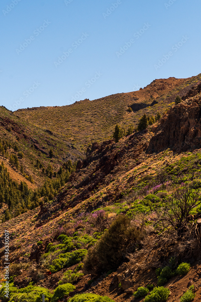 Formación rocosa en el Parque Nacional del Teide