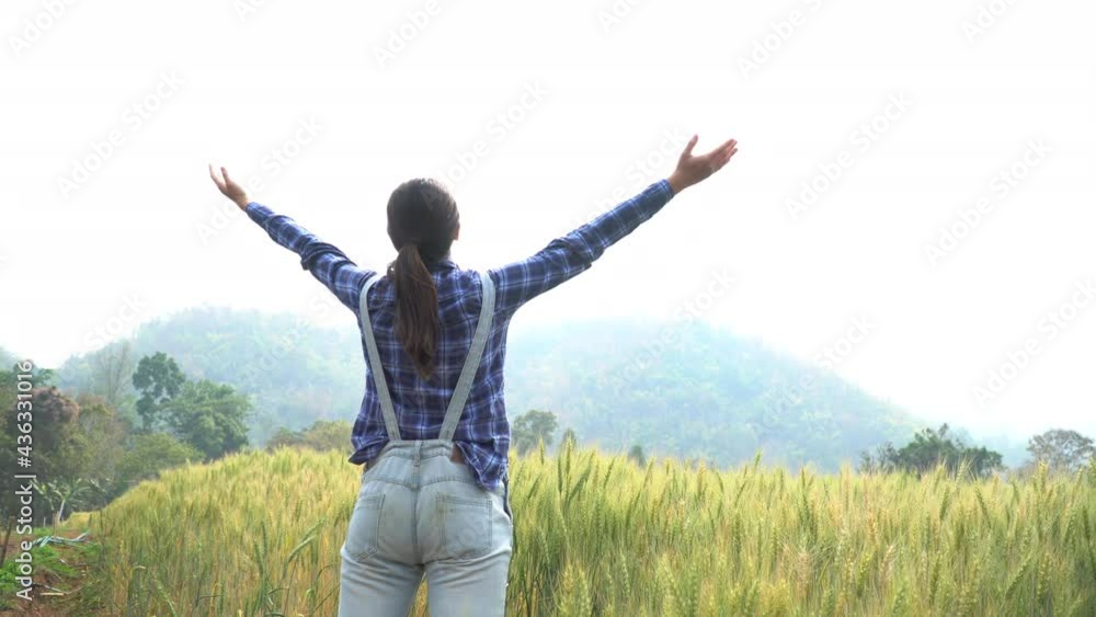 Rear view of woman farmer standing raise arms in a Barley field. Barley farm owner Agriculture product industry concept. Rear view of woman farmer standing raise arms in a Barley field. Barley farm owner Agriculture product industry concept.