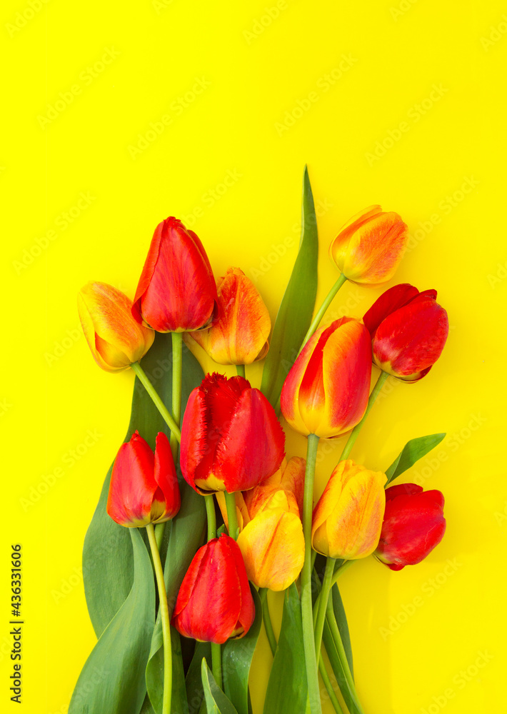 A bouquet of red and yellow tulips on a yellow background. Vertical background. Mother's Day, Valentine's Day, Birthday celebration concept. Hello spring, copy location, top view, greeting card