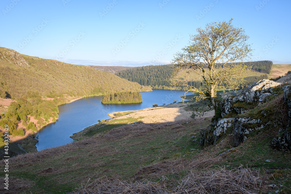 Fototapeta premium Elan valley reservoirs and dams in spring time in the welsh countryside