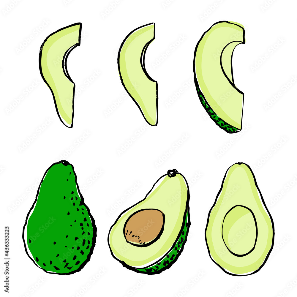 Set with avocado. Hand drawn vector illustration. Whole, half and sliced avocado on white background. Set with avocado. Hand drawn vector illustration. Whole, half and sliced avocado on white background.