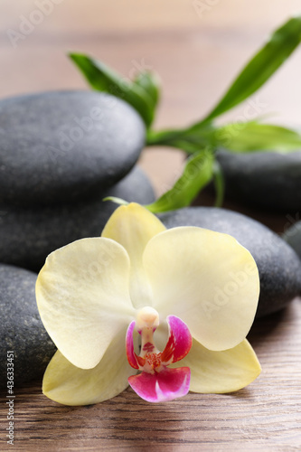 Spa stones, beautiful orchid flower and bamboo sprout on wooden table, closeup
